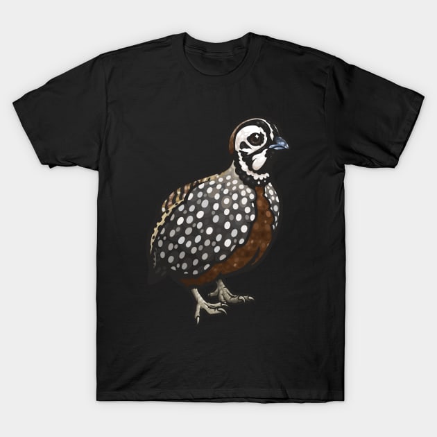 Montezuma Quail T-Shirt by Ginboy